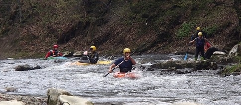 Olše – uspokojí i náročné