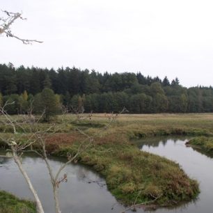 Meandry na Ploučnici jsou pověstné