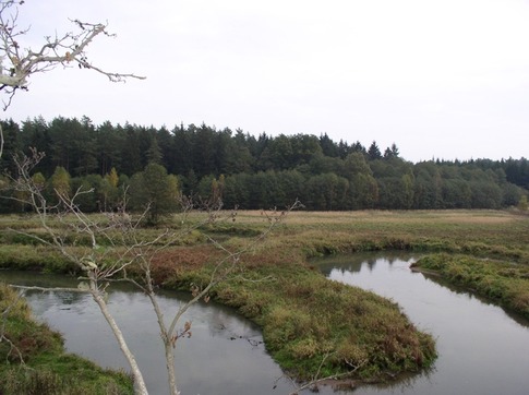 Meandry na Ploučnici jsou pověstné