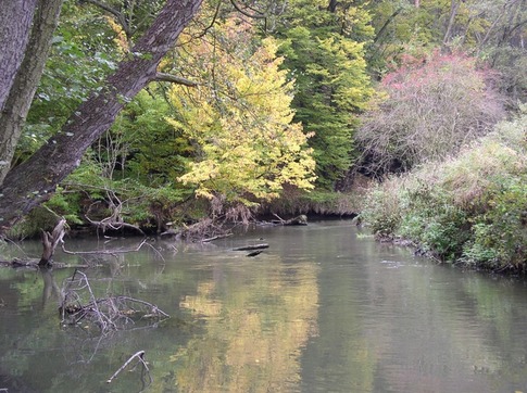 Pokud vám nevadí prodírání se vrbičkami, určitě se na Ploučnici vypravte