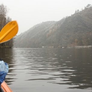 Vltava protéká lužními lesy