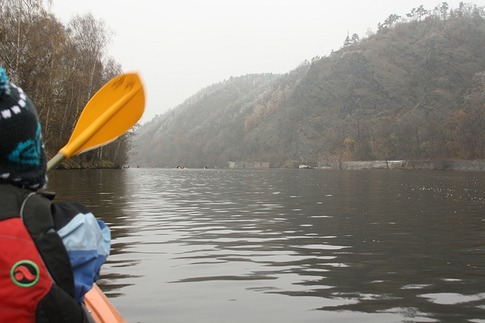 Vltava protéká lužními lesy