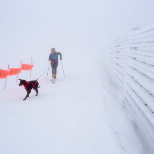 Závod jednotlivců na sněhu