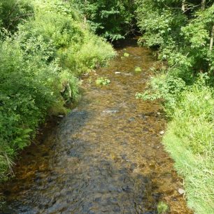 Morava u Červeného potoka