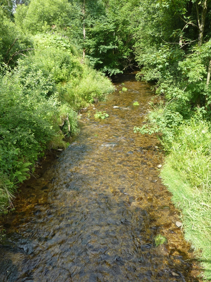 Morava u Červeného potoka