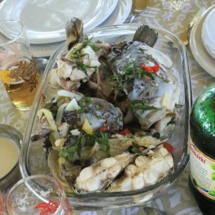 Rybí hostina / F: Vít Čenovský