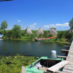 Zapomenutá sklizeň rákosu / F: Vít Čenovský