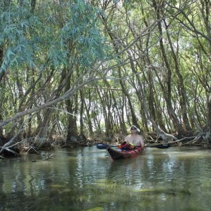 Občas se podařilo zajet i do jinak nepropustných mangrovníků / F: Vít Čenovský