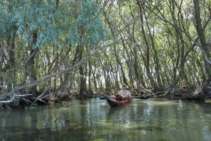 Občas se podařilo zajet i do jinak nepropustných mangrovníků / F: Vít Čenovský