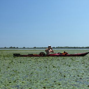 Ztracen v zeleni / F: Vít Čenovský
