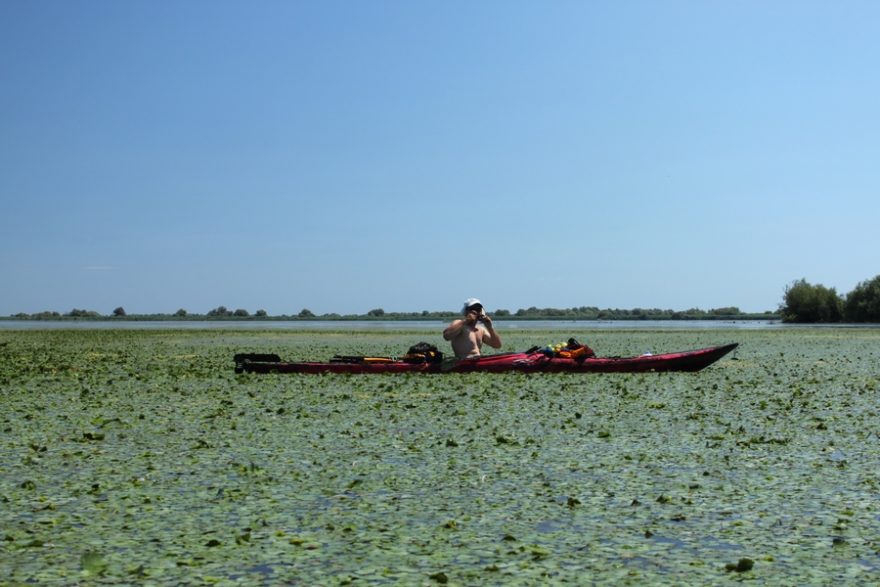Ztracen v zeleni / F: Vít Čenovský