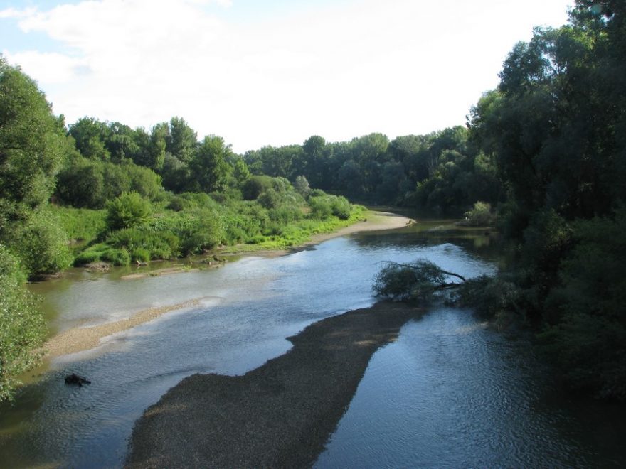 Morava v Zástudánčí / F: František Prokeš