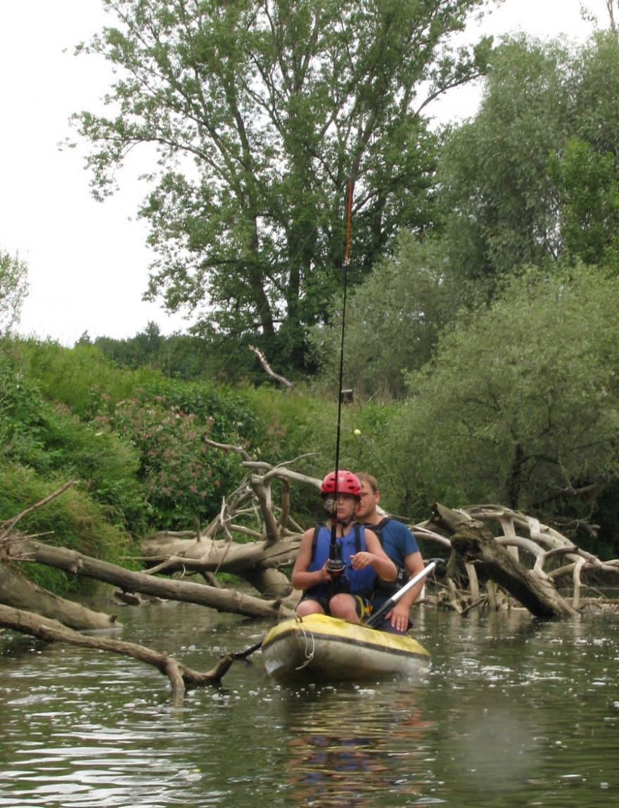 Háček ulovit celý prut / F: František Prokeš
