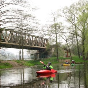 Pod soutokem Loučky a Svratky / F: Franta Prokeš