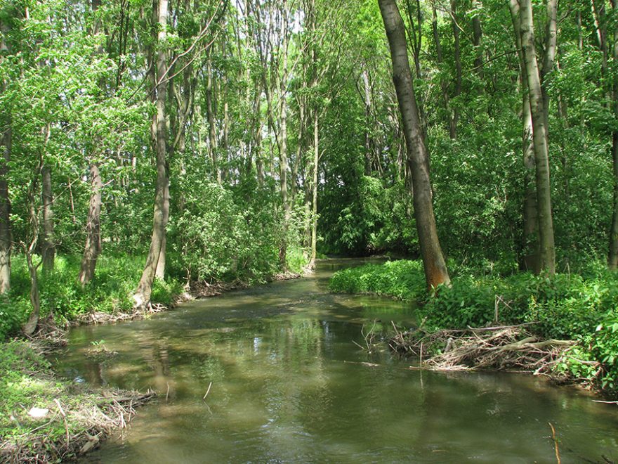 U kostelce na Hané / F: František Prokeš