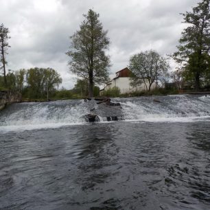 Mže – od přehrady ke Kalikováku