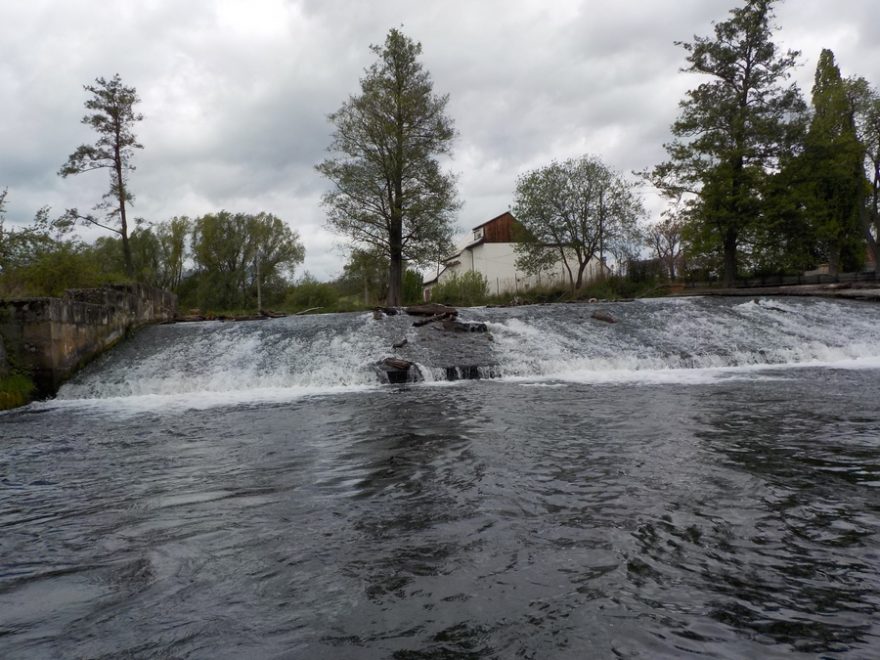 Mže – od přehrady ke Kalikováku