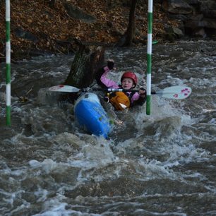 Brankoviště na Budech