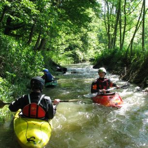 Bílá voda – jedna ze zdrojnic Punkvy