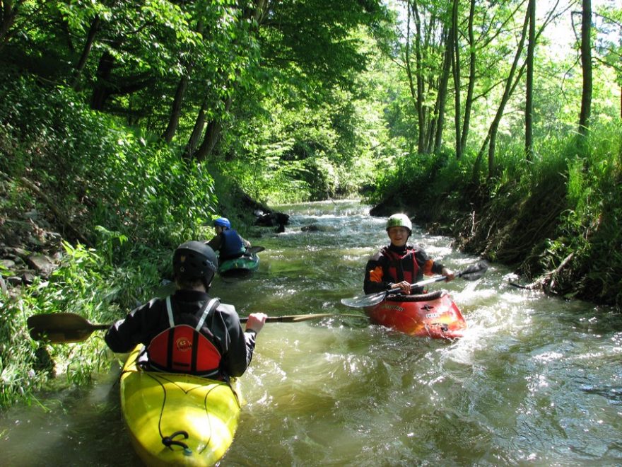 Bílá voda – jedna ze zdrojnic Punkvy