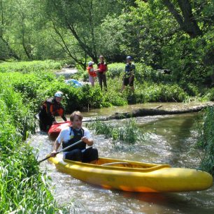 Bílá voda – jedna ze zdrojnic Punkvy