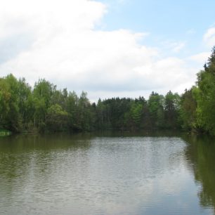 Bílá voda – jedna ze zdrojnic Punkvy