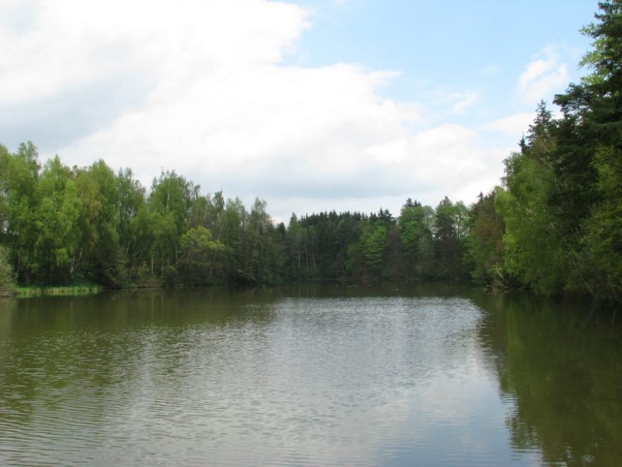 Bílá voda – jedna ze zdrojnic Punkvy