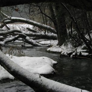Bílá voda – jedna ze zdrojnic Punkvy