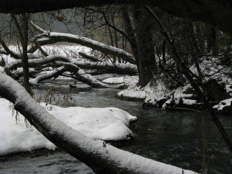 Bílá voda – jedna ze zdrojnic Punkvy
