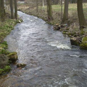 Bystřice – prudká, dravá, záludná