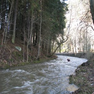 Křetínka – svižný přítok Svitavy
