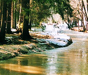 Stropnice – málo známá jihočeská říčka