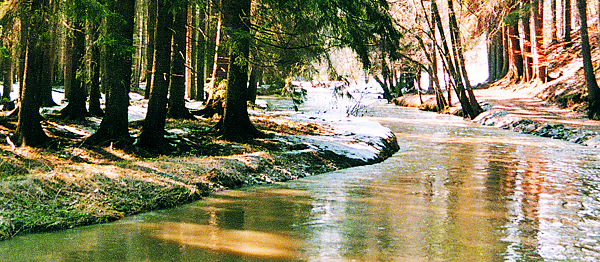 Stropnice – málo známá jihočeská říčka