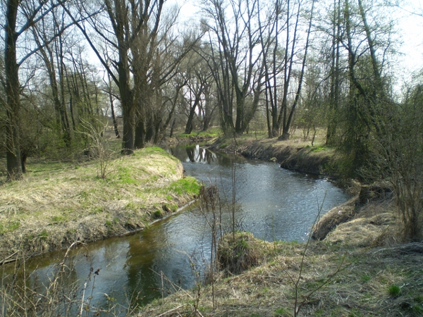 Novohradka u Hrochova Týnce