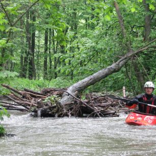 O přírodní překážky není nouze / F: Franta Prokeš