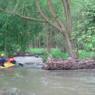 Ramena a zátarasy v korytě / F: Franta Prokeš