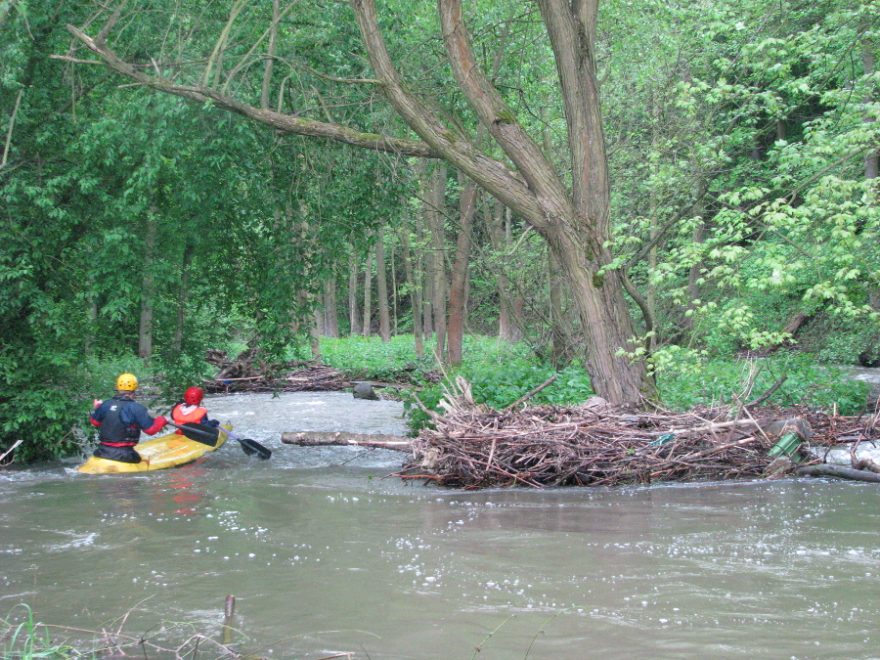 Ramena a zátarasy v korytě / F: Franta Prokeš