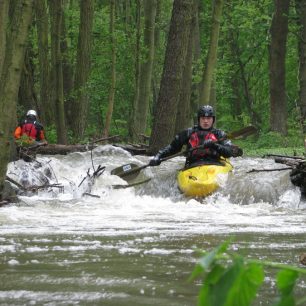 Další přírodní překážky... / F: Franta Prokeš