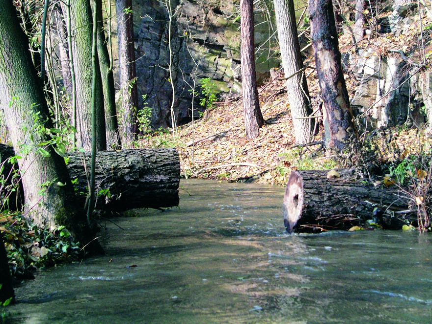 Bečvárka – totální ptákovina na závěr sezony