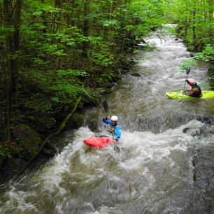 Olešenka – perlička Orlických hor / F: Míra Kava