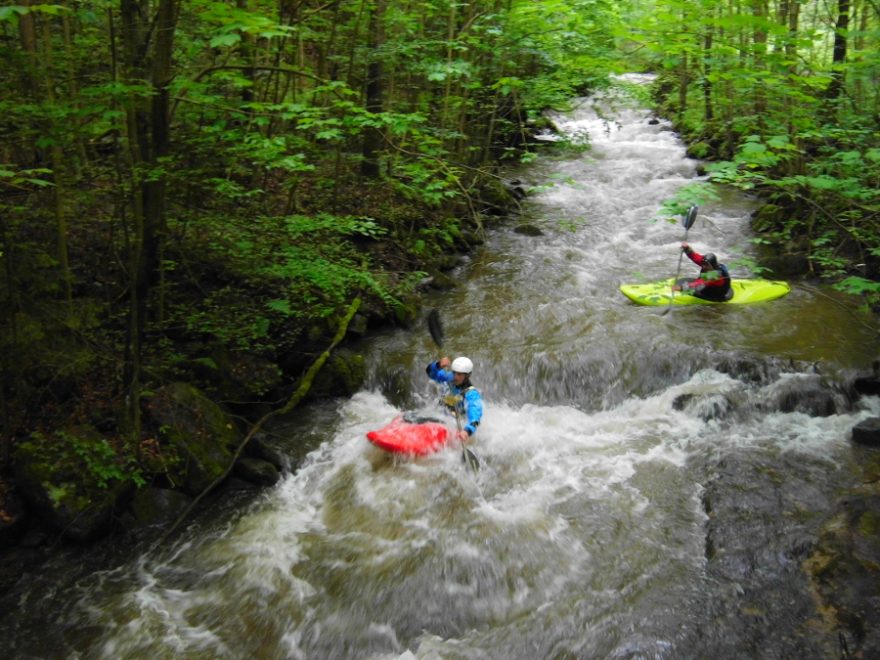Olešenka – perlička Orlických hor / F: Míra Kava