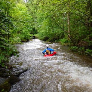 Olešenka – perlička Orlických hor / F: Míra Kava
