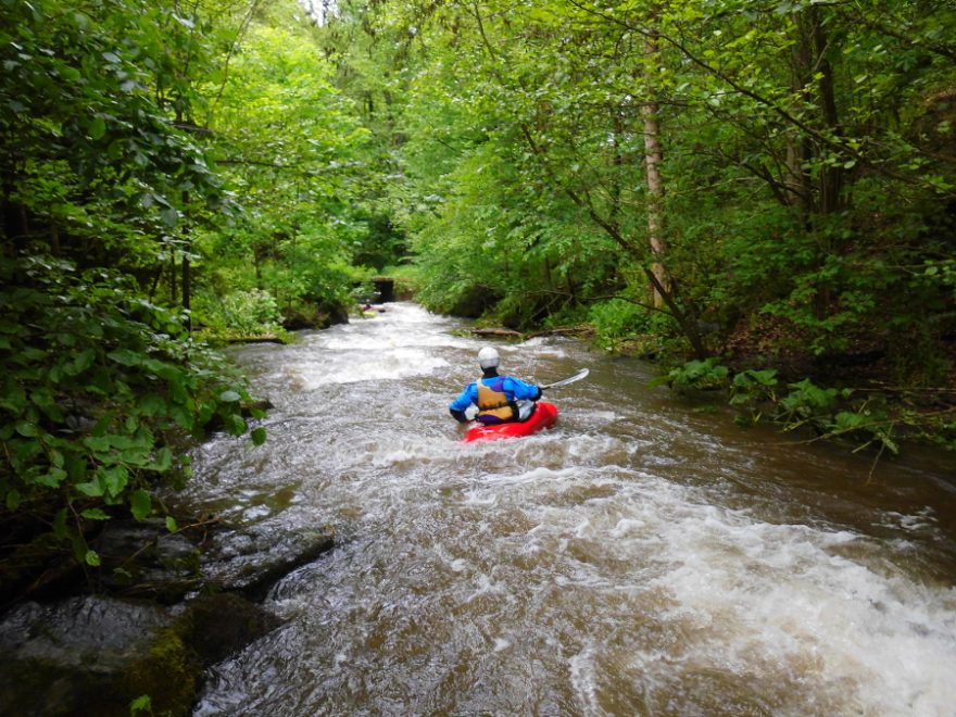 Olešenka – perlička Orlických hor / F: Míra Kava