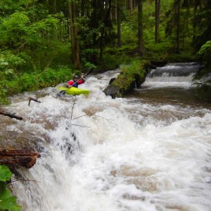 Olešenka – perlička Orlických hor / F: Míra Kava