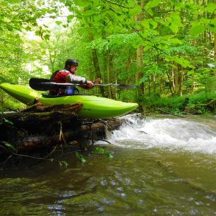 Olešenka – perlička Orlických hor / F: Míra Kava