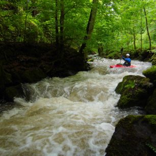 Olešenka – perlička Orlických hor / F: Míra Kava