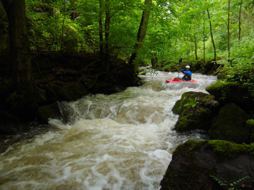 Olešenka – perlička Orlických hor / F: Míra Kava