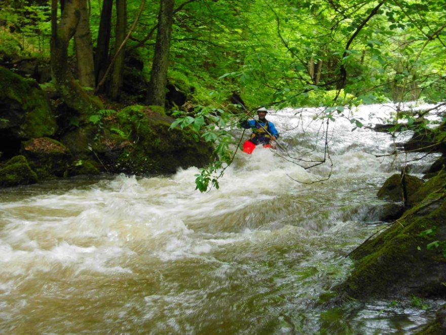 Olešenka – perlička Orlických hor / F: Míra Kava