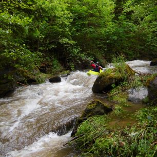 Olešenka – perlička Orlických hor / F: Míra Kava