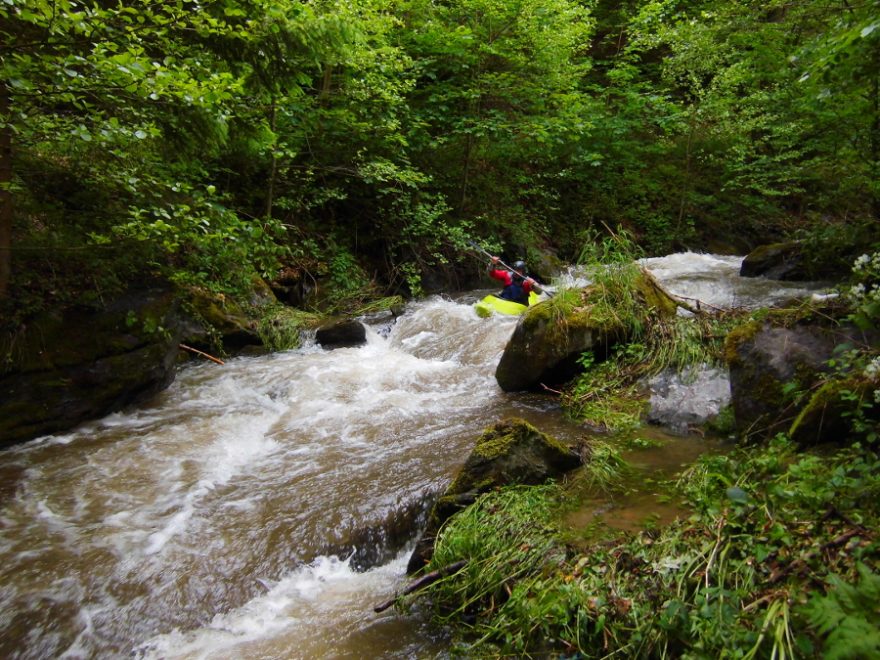 Olešenka – perlička Orlických hor / F: Míra Kava